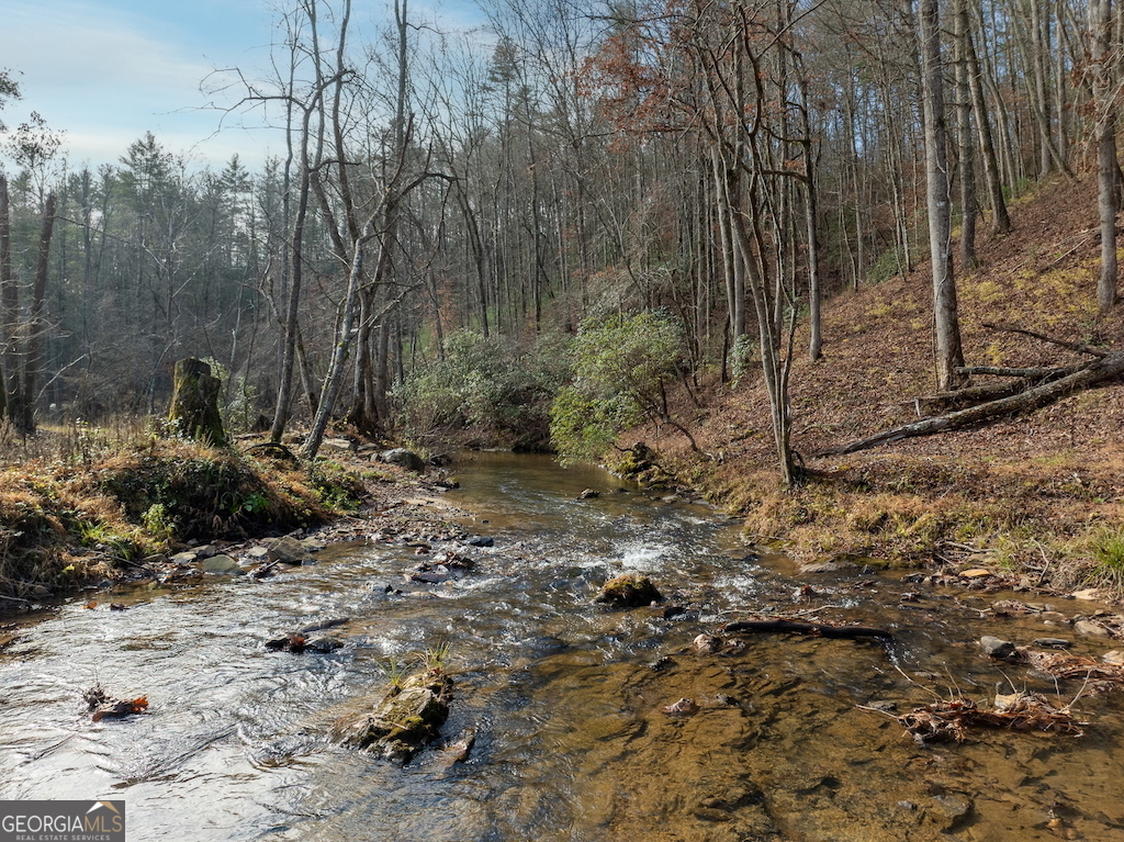 780 Banks Road Ellijay, GA 30540 - Photo 25 of 25 a view of a yard with trees