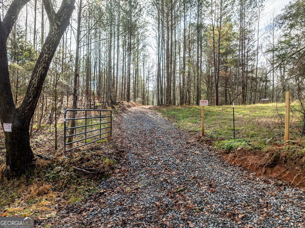 780 Banks Road Ellijay, GA 30540 - Photo 5 of 25 a view of a backyard with large trees