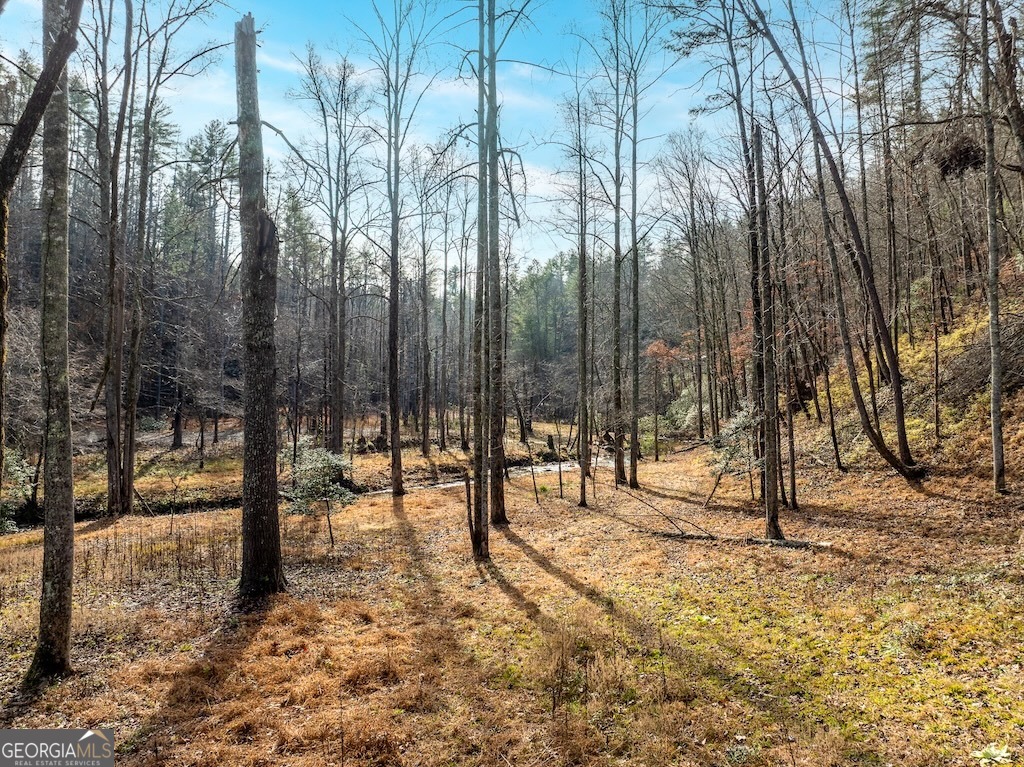 780 Banks Road Ellijay, GA 30540 - Photo 8 of 25 a view of park