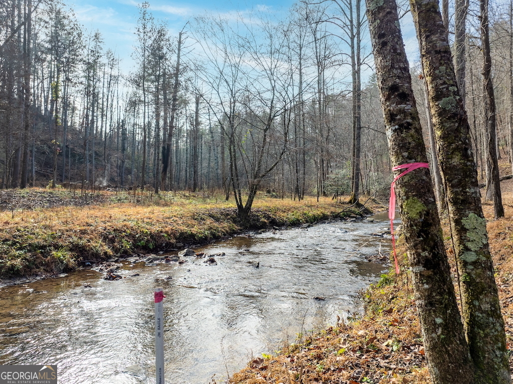 780 Banks Road Ellijay, GA 30540 - Photo 9 of 25 a view of fire pit with large trees
