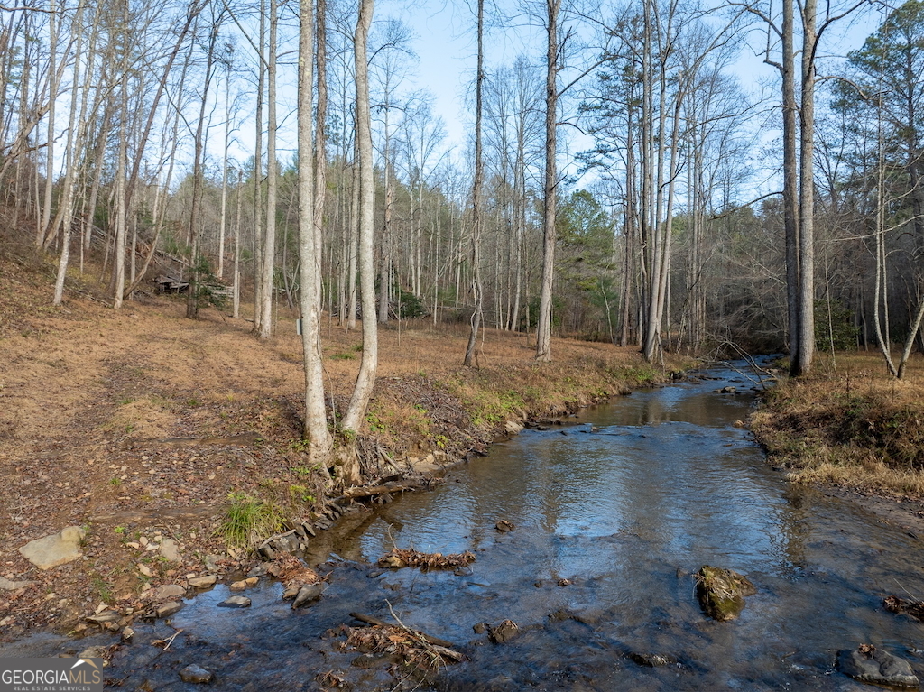780 Banks Road Ellijay, GA 30540 - Photo 10 of 25 a backyard of a house with lots of green space