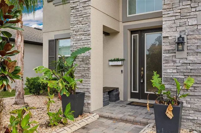 a potted plant sitting in front of a building