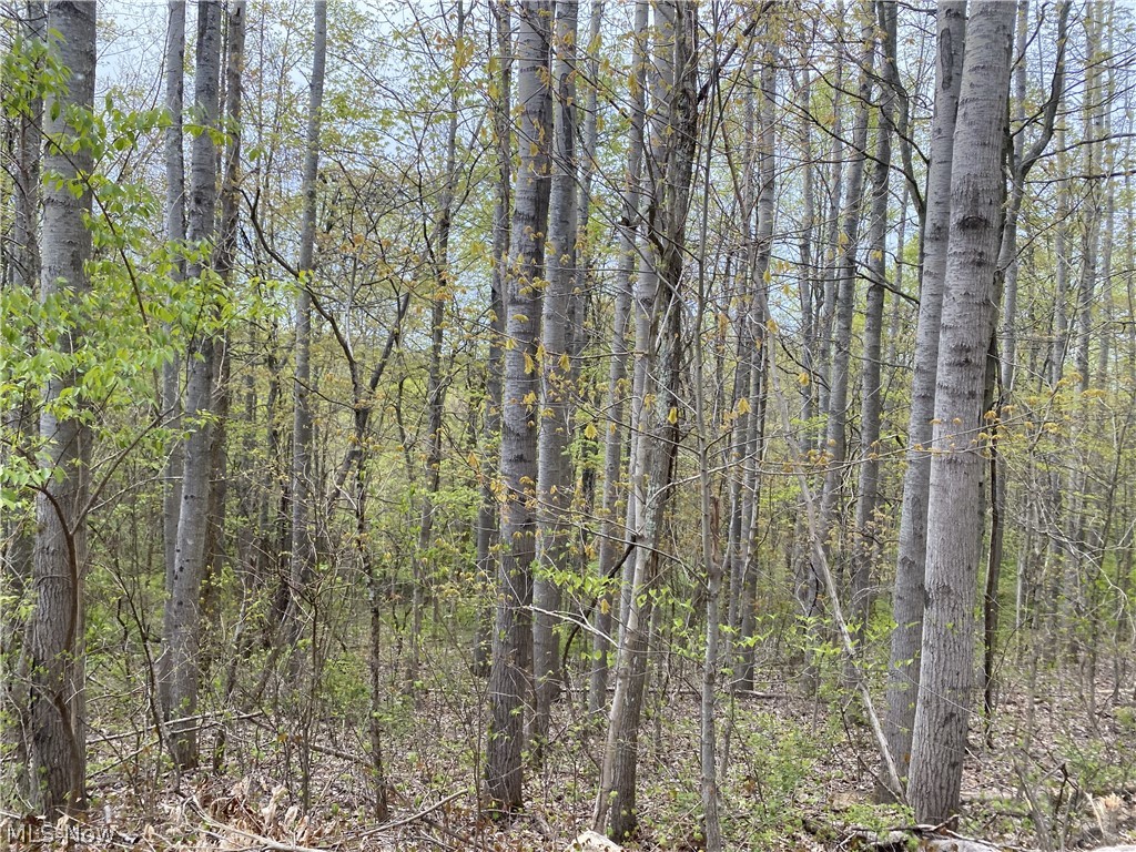 51444 Mud Run Road Sarahsville, OH 43779 - Photo 6 of 8 View of mother earth's splendor