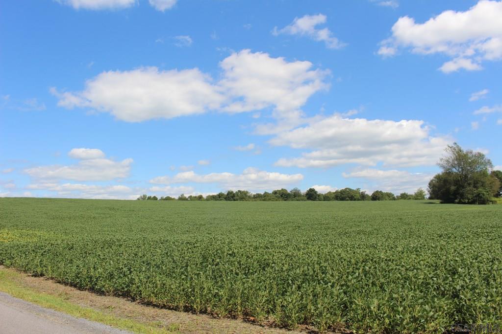 Lot # Wess Road, Unit 5 Mineral Point, PA 15942 - Photo 3 of 13