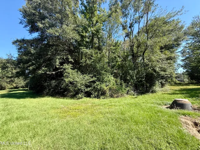 $22,500 | Tbd Tbd Williams, Brookhaven, MS 39601