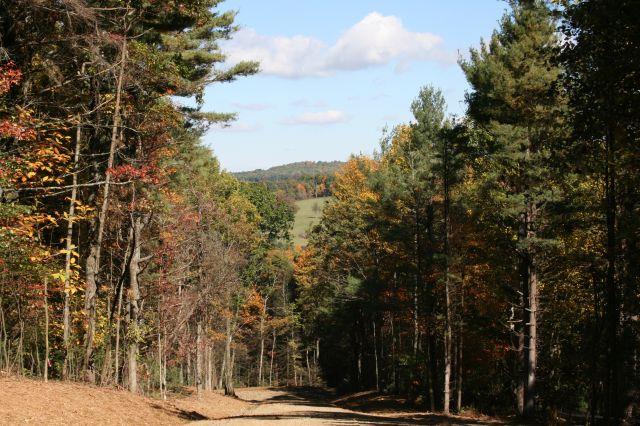 0 Roundhill Road Fancy Gap, VA 24328 - Photo 4 of 12 Gallery Image 4