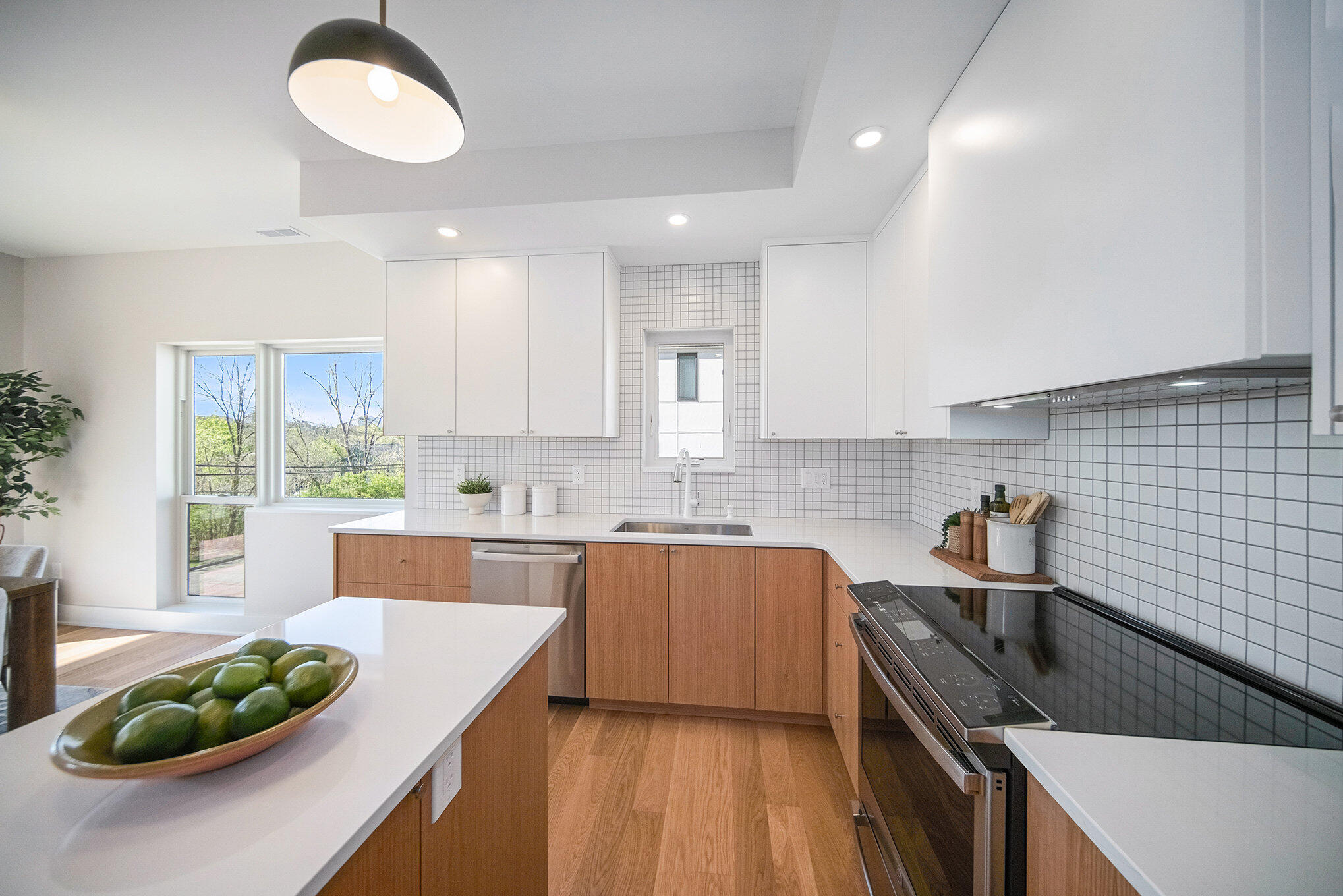 207 Sunset Road Ann Arbor, MI 48103 - Photo 10 of 45 011_sbp_58_280