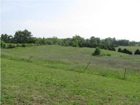 452 Lanny Heath Road Upton, KY 42784 - Photo 23 of 25 Additional Photo
