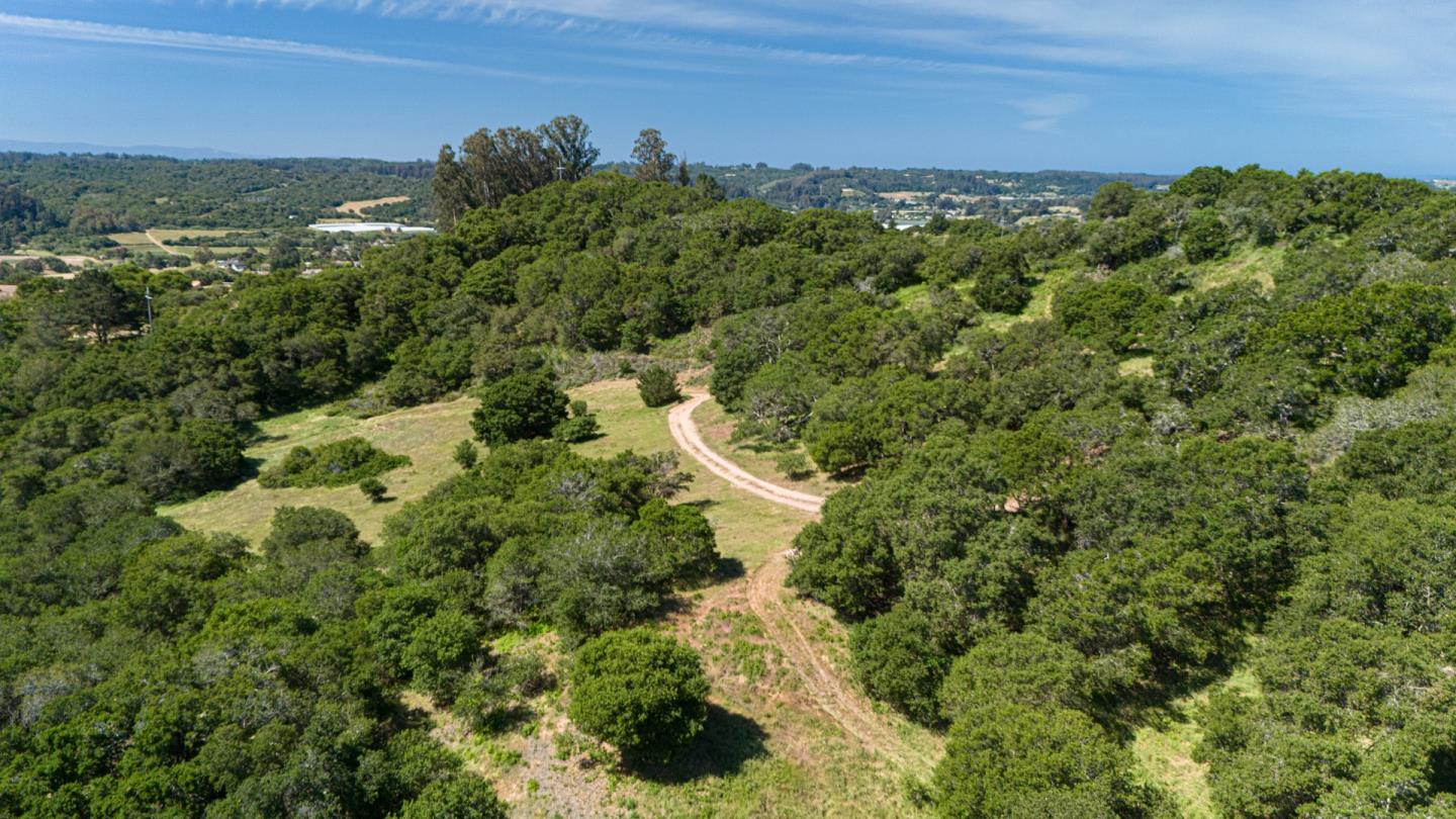 San Juan Road Aromas, CA 95004 - Photo 11 of 46 a view of a forest with a yard