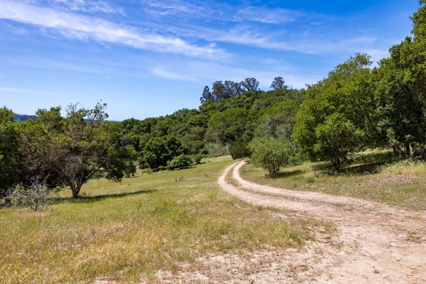 San Juan Road Aromas, CA 95004 - Photo 17 of 46 a view of a yard with an trees