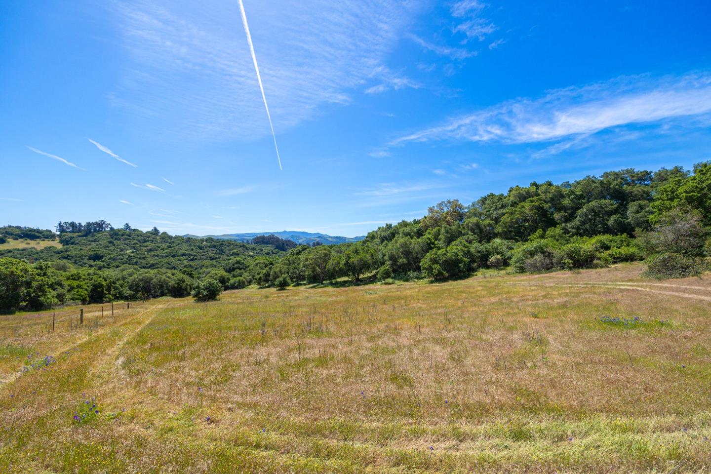 San Juan Road Aromas, CA 95004 - Photo 20 of 46 a view of an outdoor space and a yard
