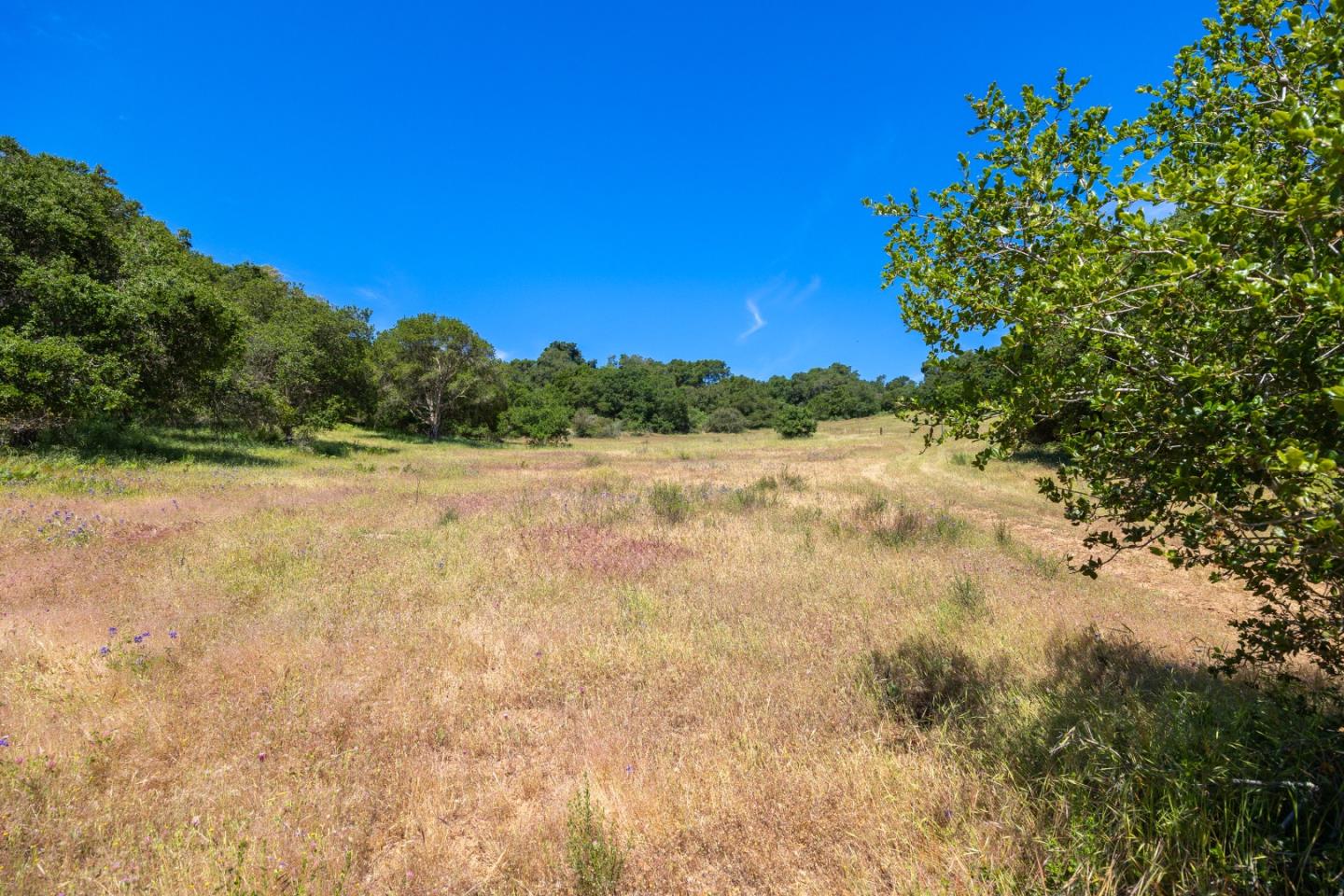 San Juan Road Aromas, CA 95004 - Photo 23 of 46 a view of lake with mountain in the background