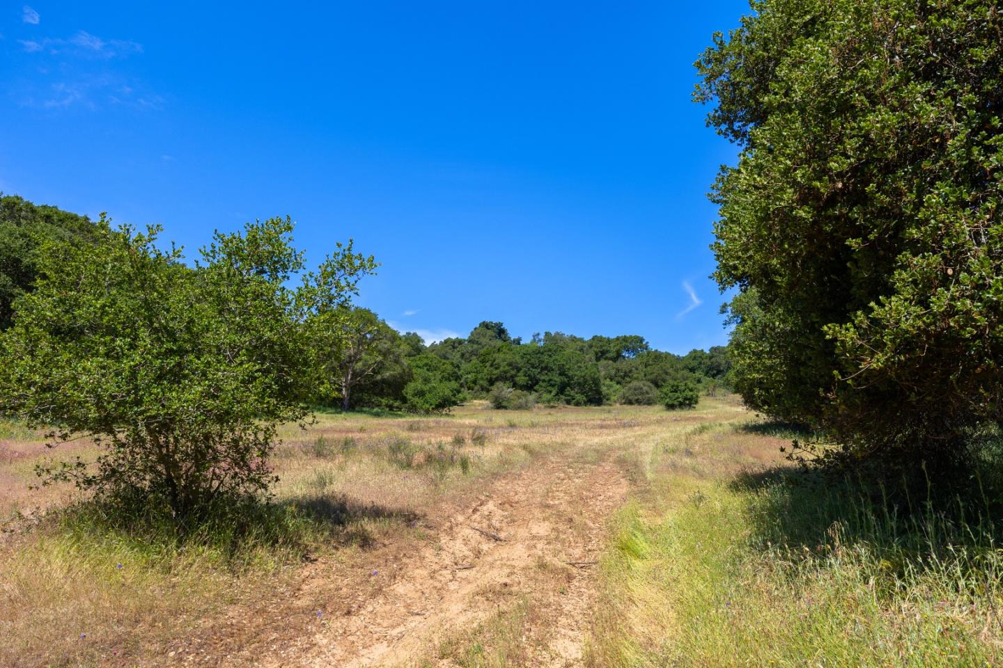 San Juan Road Aromas, CA 95004 - Photo 24 of 46 a view of lake background and mountain