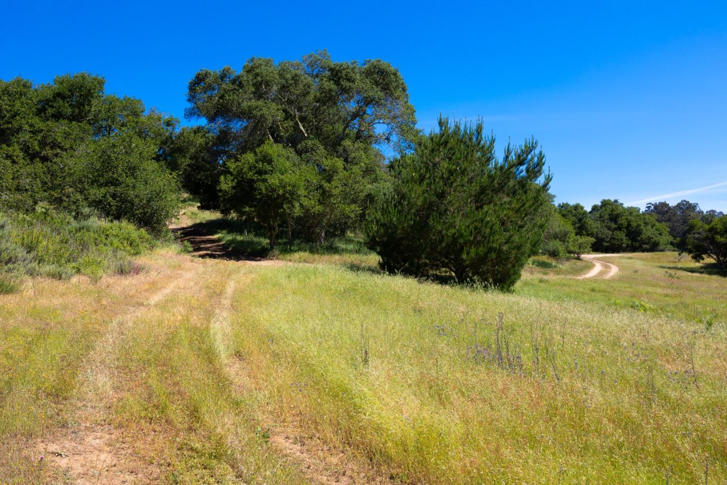 San Juan Road Aromas, CA 95004 - Photo 29 of 46 a view of a yard