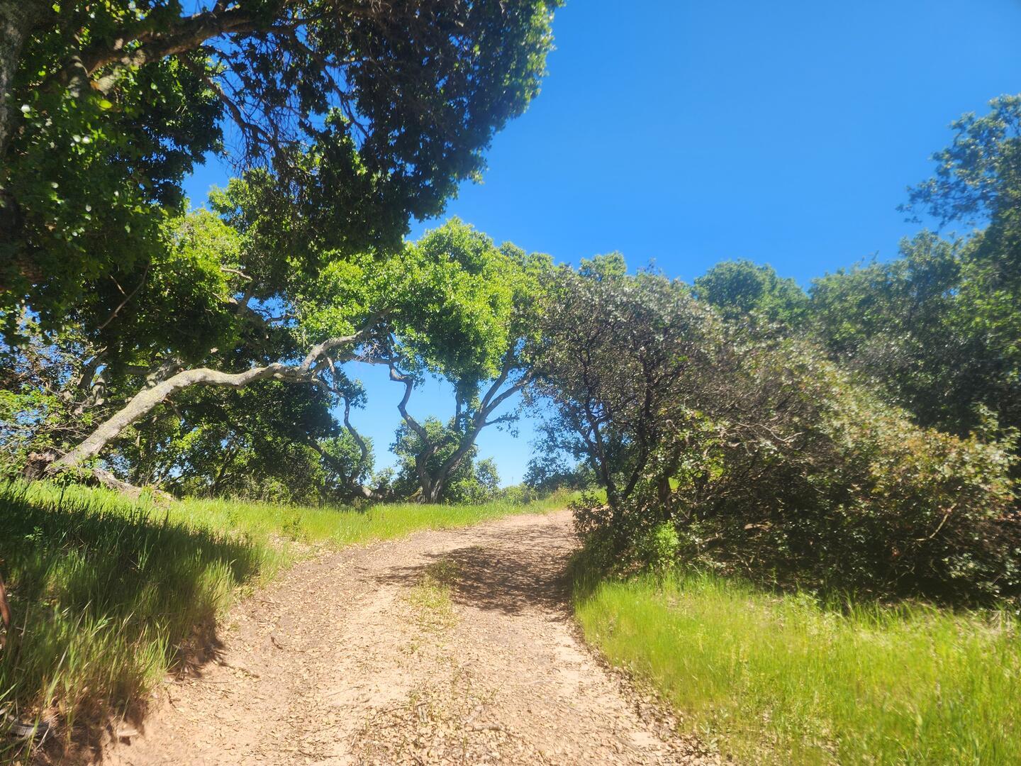 San Juan Road Aromas, CA 95004 - Photo 3 of 46 a view of a yard