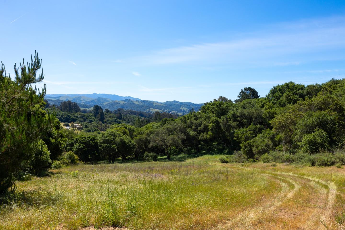 San Juan Road Aromas, CA 95004 - Photo 32 of 46 a view of a yard