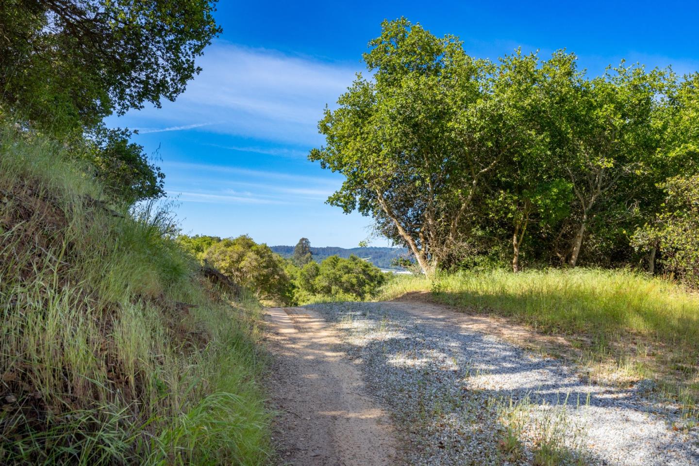 San Juan Road Aromas, CA 95004 - Photo 38 of 46 a view of a yard with a tree