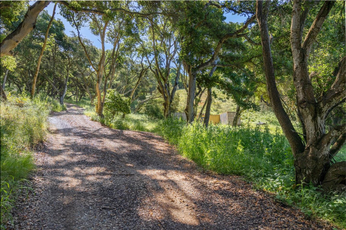 San Juan Road Aromas, CA 95004 - Photo 39 of 46 a view of backyard with green space