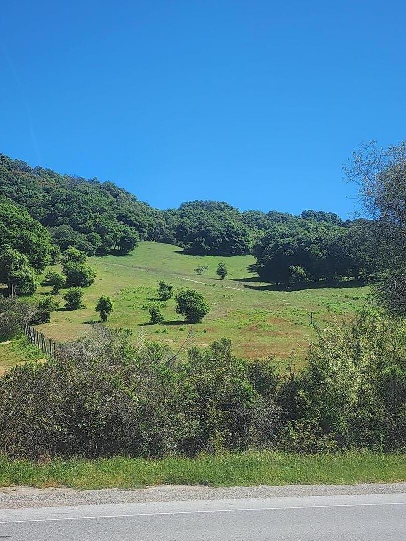 San Juan Road Aromas, CA 95004 - Photo 4 of 46 a view of a yard with an outdoor space