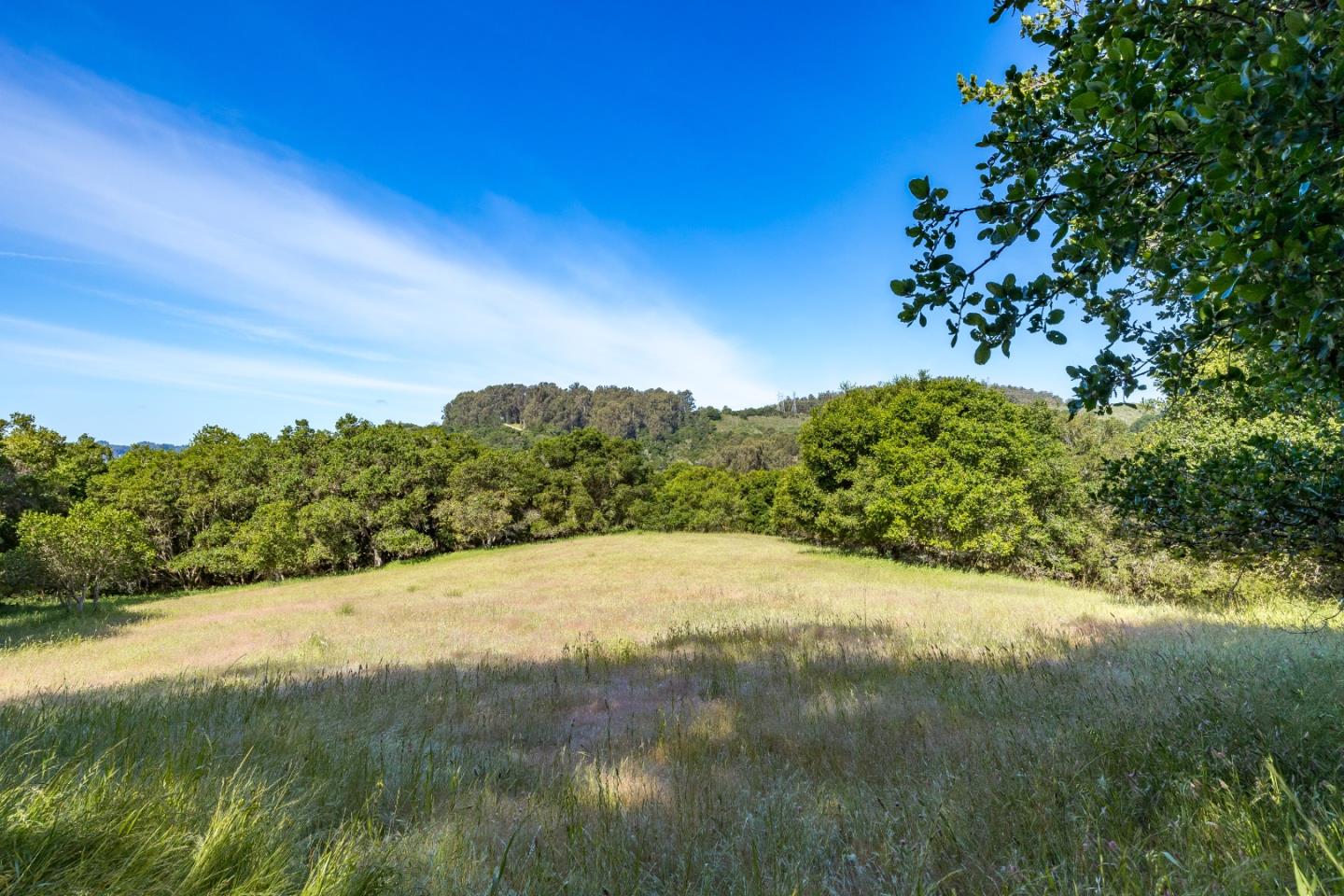 San Juan Road Aromas, CA 95004 - Photo 41 of 46 a view of a yard with a tree