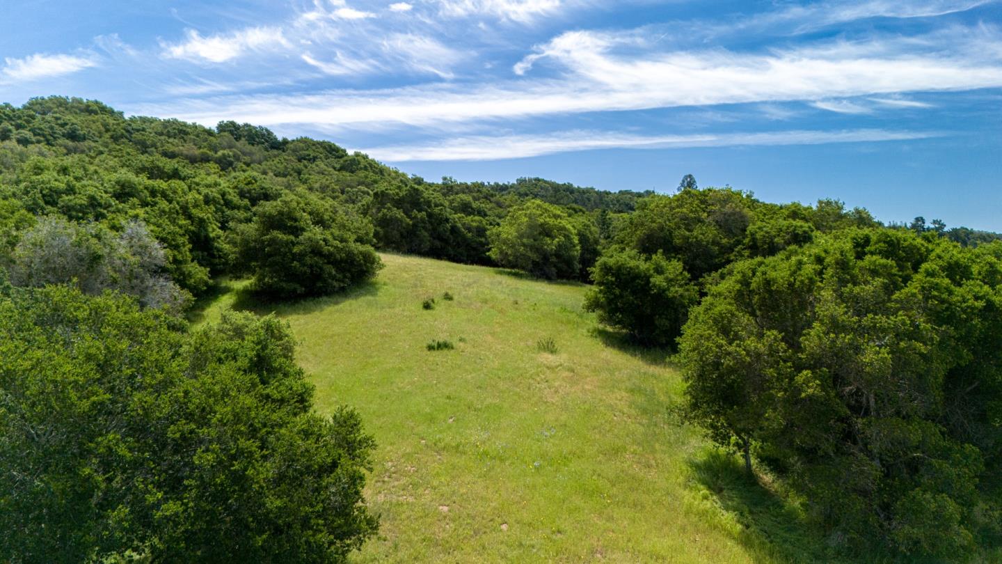 San Juan Road Aromas, CA 95004 - Photo 7 of 46 a view of a yard with an ocean