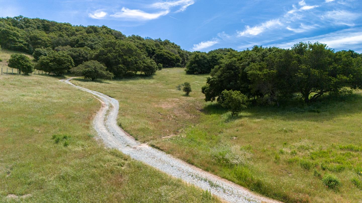 San Juan Road Aromas, CA 95004 - Photo 8 of 46 a view of a yard with swimming pool