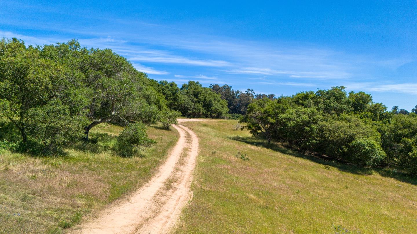 San Juan Road Aromas, CA 95004 - Photo 10 of 46 a view of a yard with an empty space