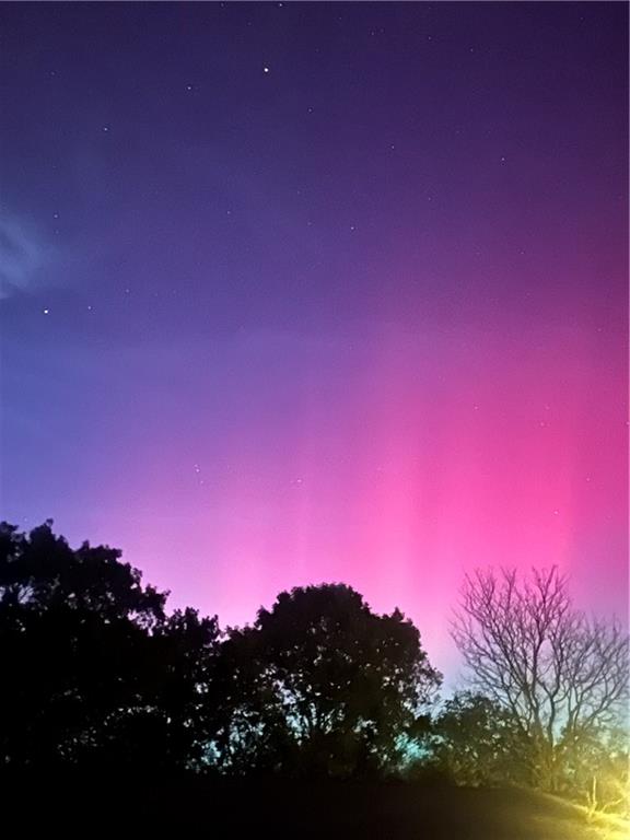 3 Cedars Street Freeman, MO 64746 - Photo 44 of 48