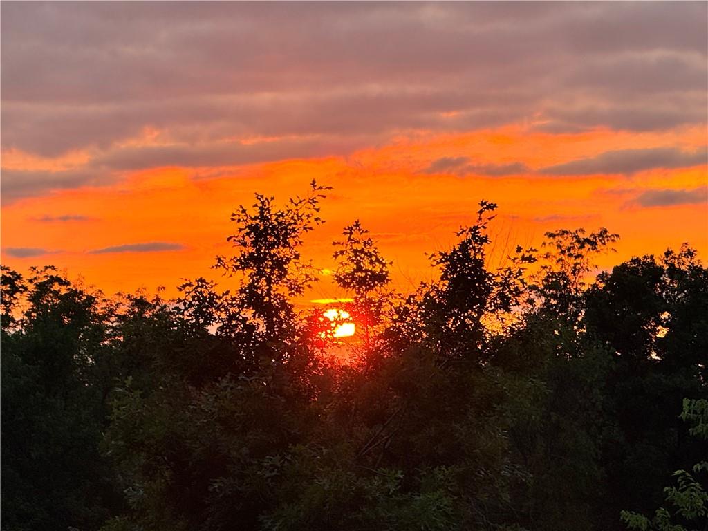 3 Cedars Street Freeman, MO 64746 - Photo 45 of 48