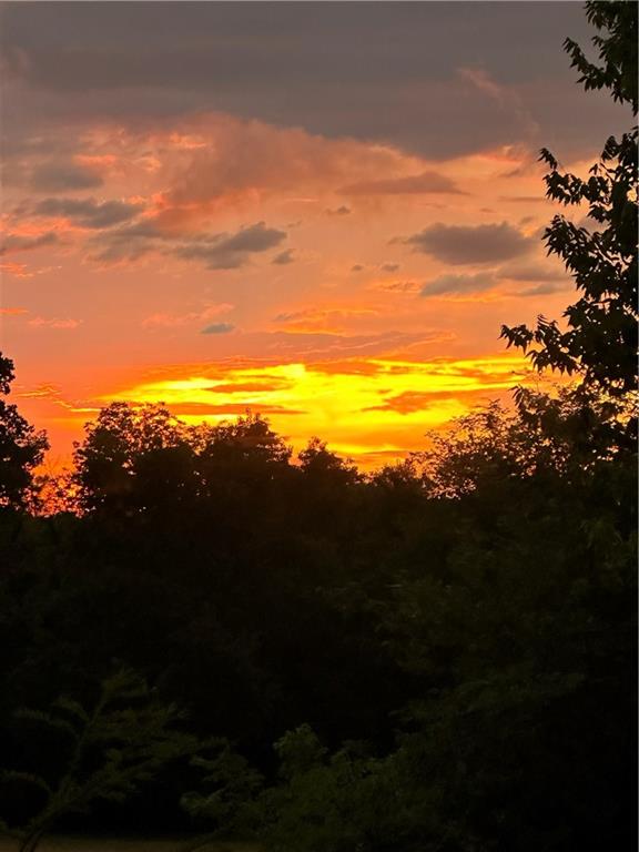 3 Cedars Street Freeman, MO 64746 - Photo 46 of 48