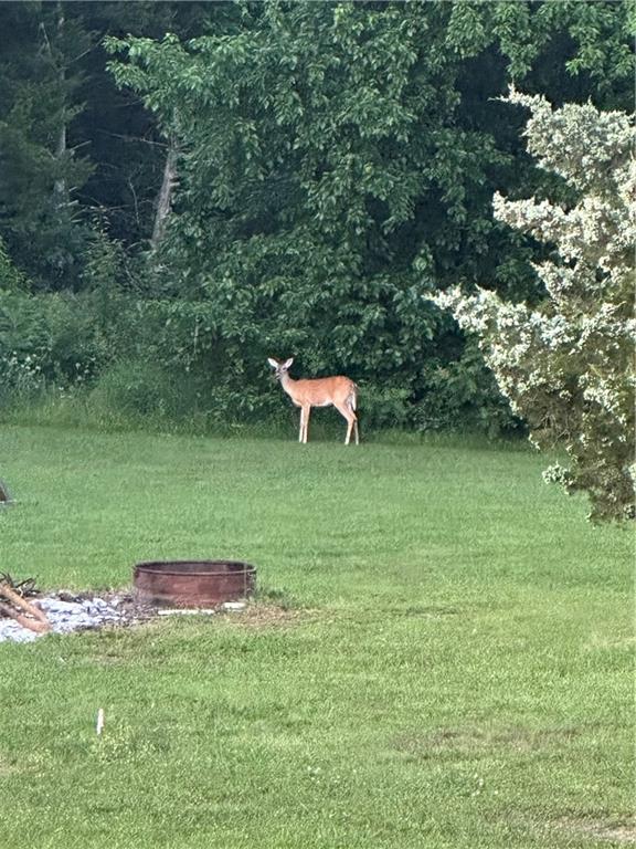 3 Cedars Street Freeman, MO 64746 - Photo 48 of 48