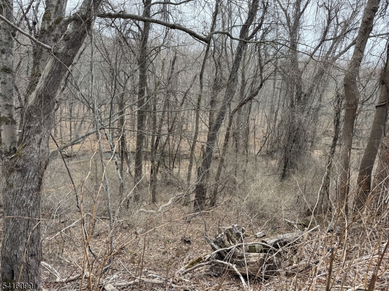 197 East Mill Road Long Valley, NJ 07853 - Photo 11 of 23