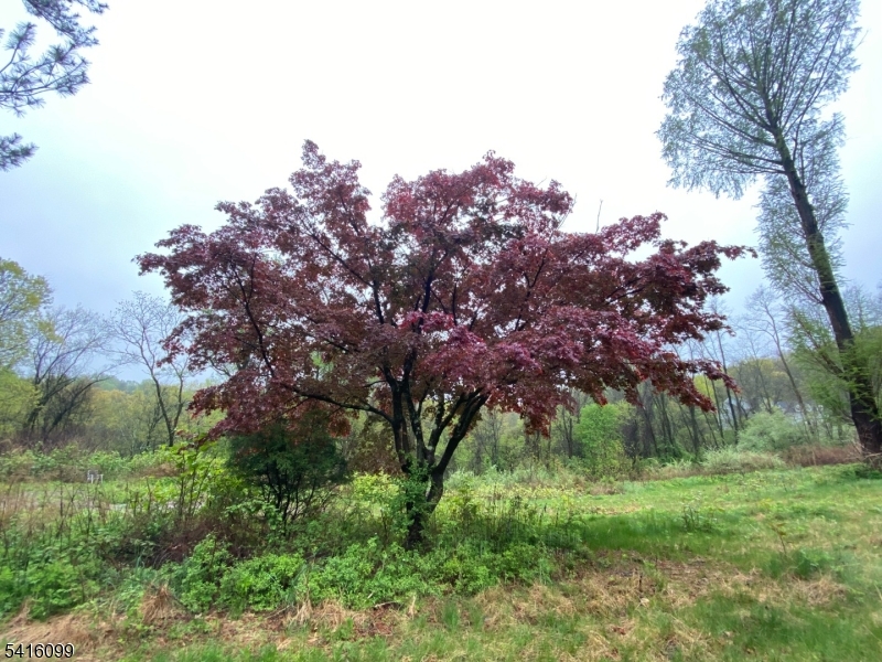 197 East Mill Road Long Valley, NJ 07853 - Photo 14 of 23