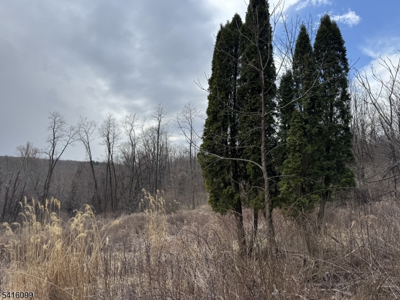 197 East Mill Road Long Valley, NJ 07853 - Photo 20 of 23