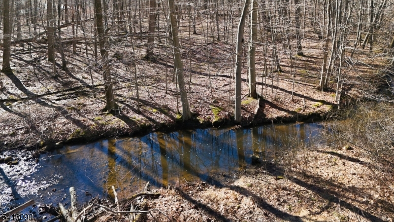 197 East Mill Road Long Valley, NJ 07853 - Photo 4 of 23