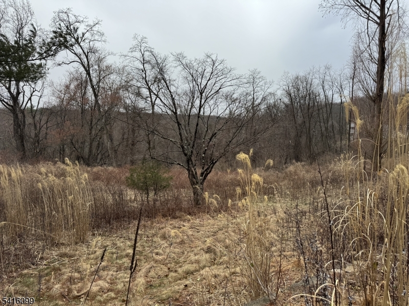 197 East Mill Road Long Valley, NJ 07853 - Photo 8 of 23