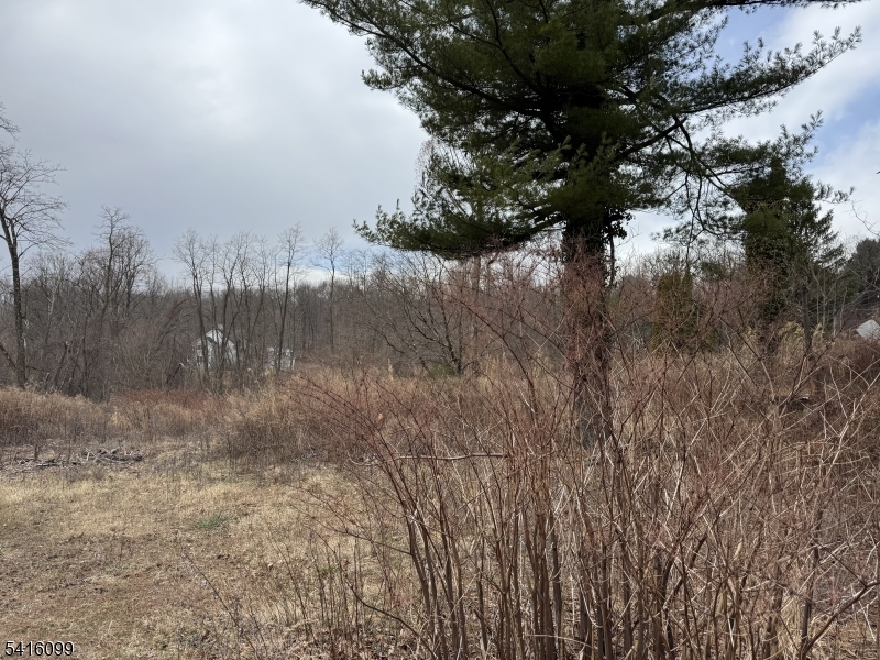 197 East Mill Road Long Valley, NJ 07853 - Photo 9 of 23