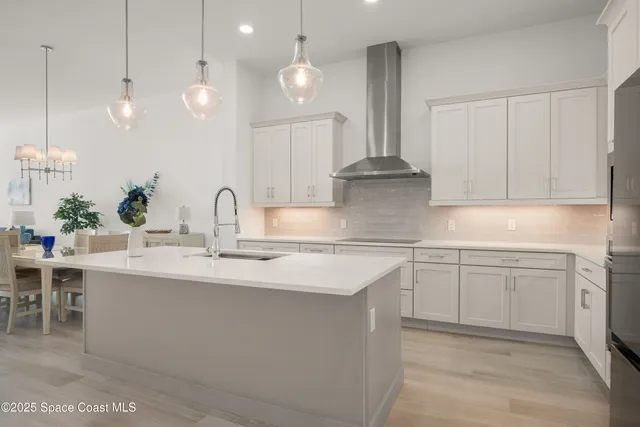 a close view of flowerpot and kitchen area