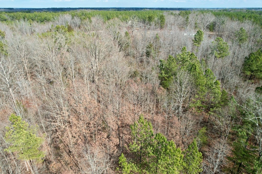 650 Schutt Road Burkeville, VA 23922 - Photo 10 of 48 Gallery Image 10