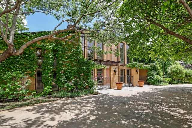 a view of a street with potted plants and large trees