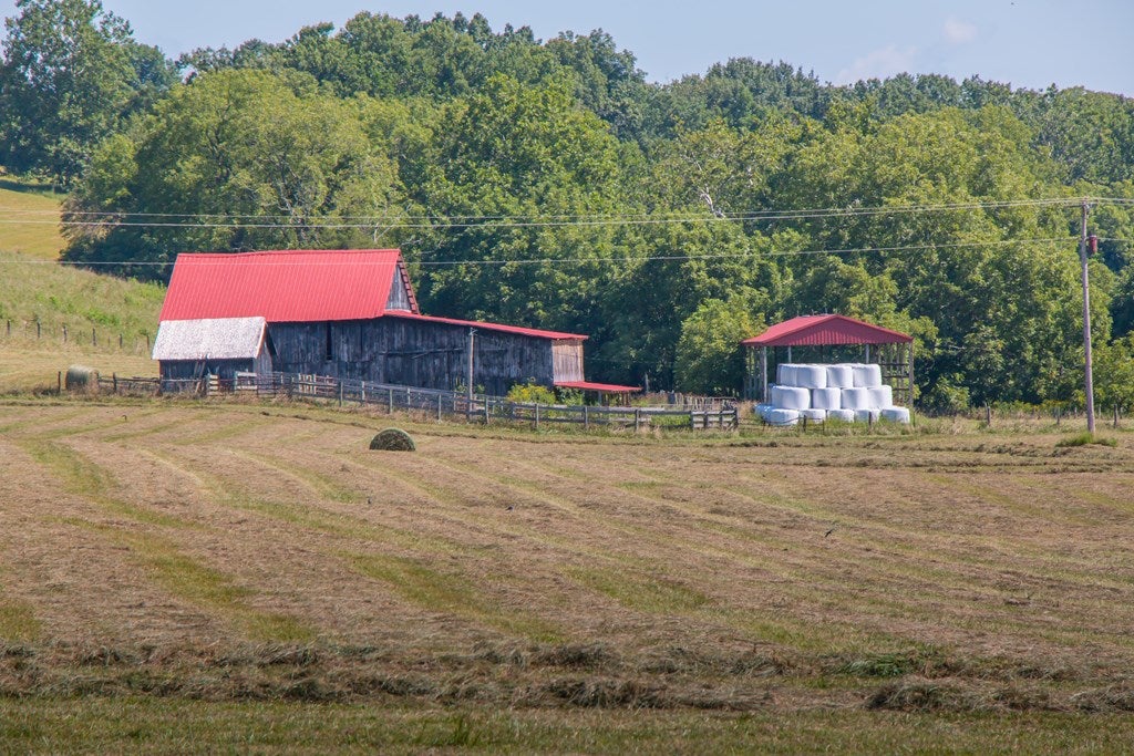 32555 McCready Road Damascus, VA 24236 - Photo 32 of 47 Gallery Image 32