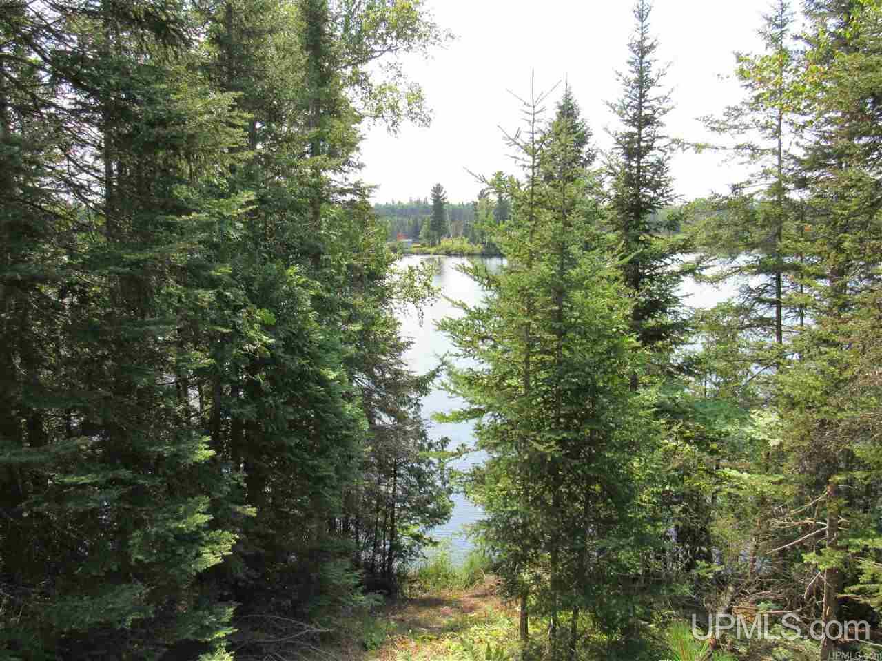 Tbd Berry Road Michigamme, MI 49861 - Photo 11 of 17