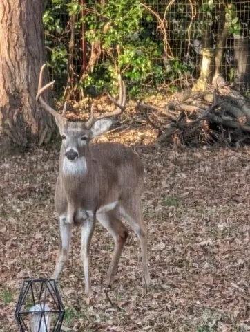 $374,900 | 120 Dogwood Lane, Winchester, TN 37398