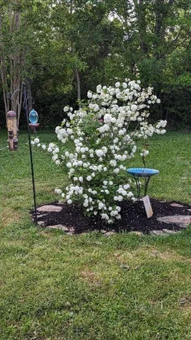 $374,900 | 120 Dogwood Lane, Winchester, TN 37398