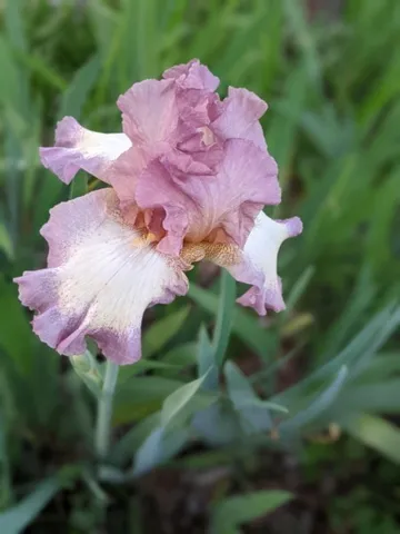 $374,900 | 120 Dogwood Lane, Winchester, TN 37398