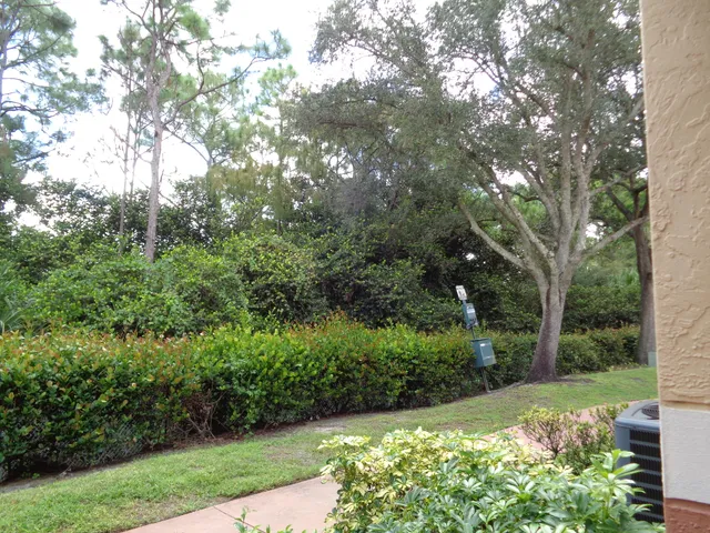 a view of a garden with plants