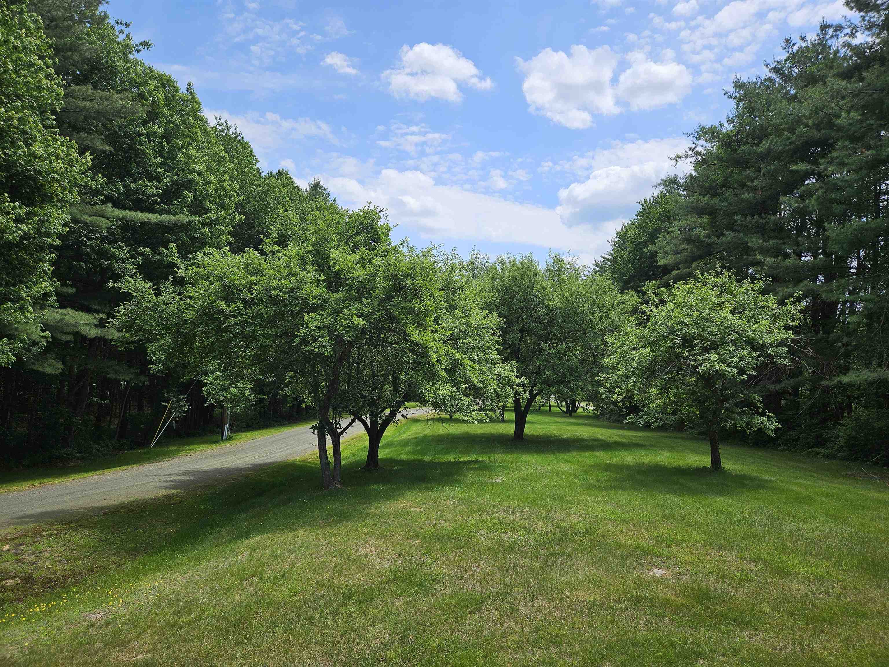 1502 King Hill Road New London, NH 03257 - Photo 13 of 16