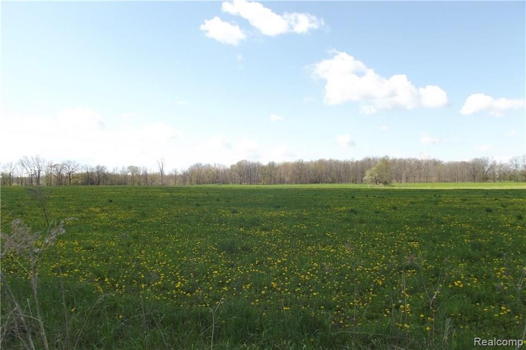 0 Allen Parcel P-4 Road Howell, MI 48855 - Photo 1 of 1
