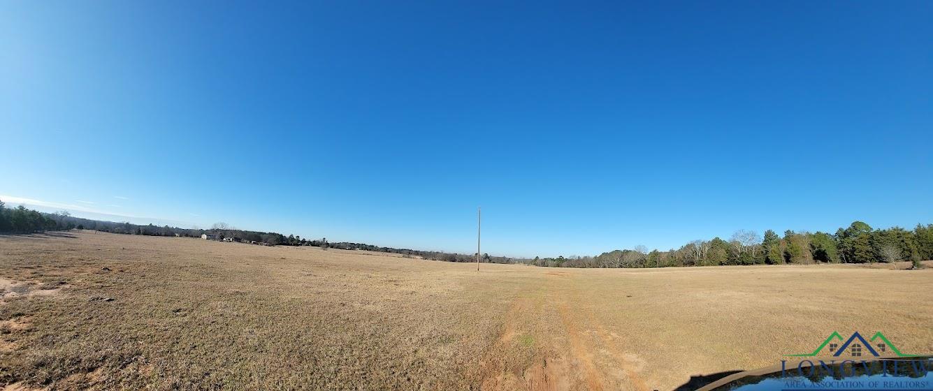 3372 Red Maple Road Big Sandy, TX 75755 - Photo 2 of 34 Gallery Image 2