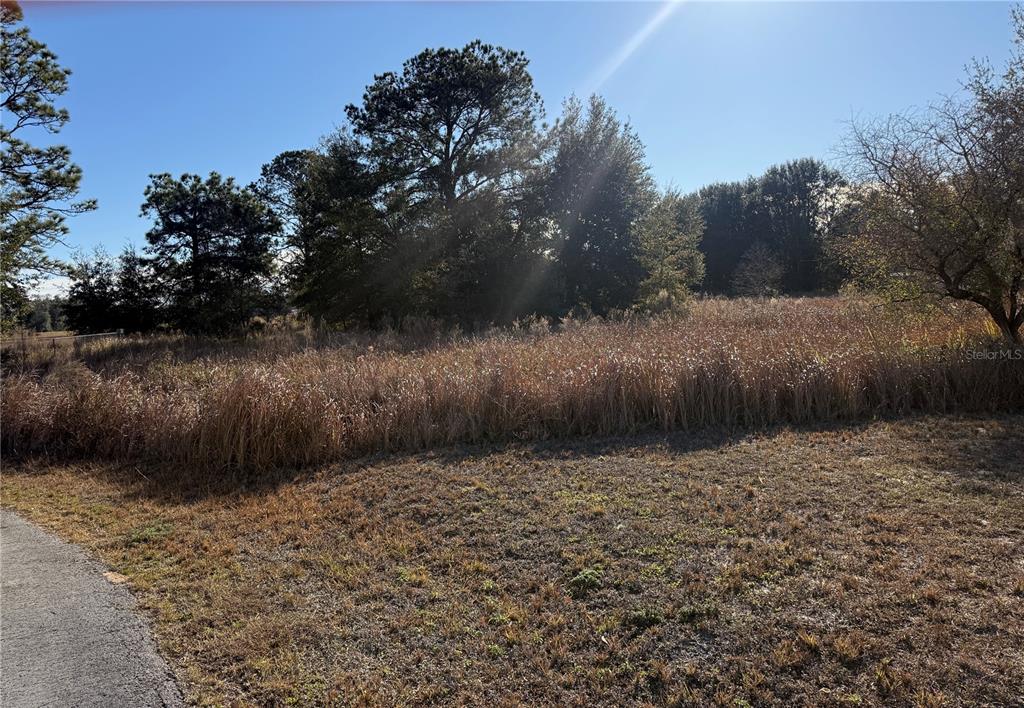 Dogwood Loop Ocala, FL 34472 - Photo 2 of 5